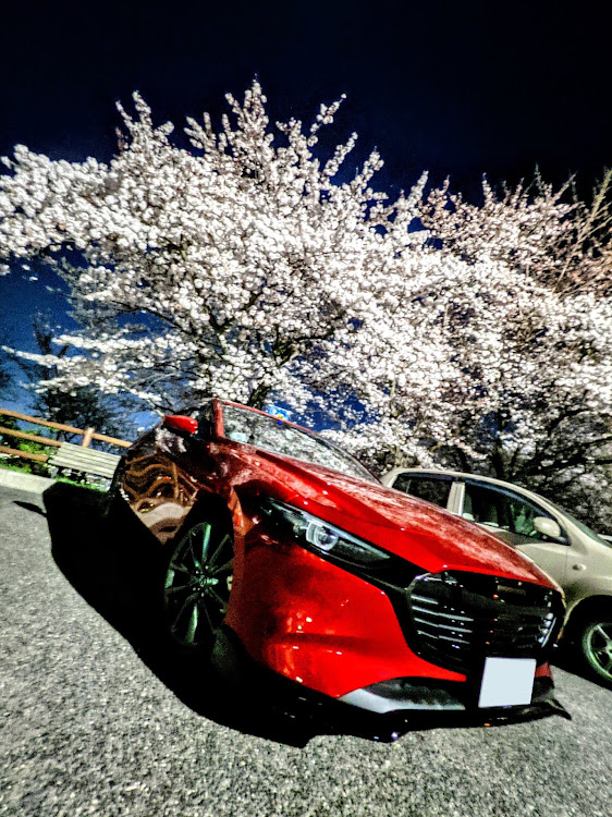MAZDA3の広島・桜と愛車・黄金山・夜景・連投ごめんなさい🙏に関するカスタム事例の投稿画像1枚目