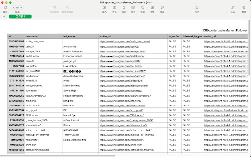 IG Follower Export Tool