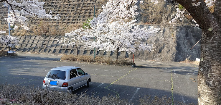 の投稿画像20枚目