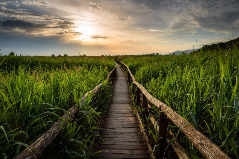 La via del tramonto di Nico Angeli Photography