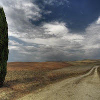 Colli Senesi di 