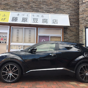 C-HR ZYX10