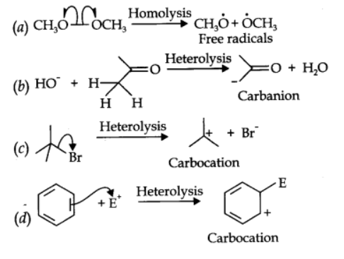 Solution Image