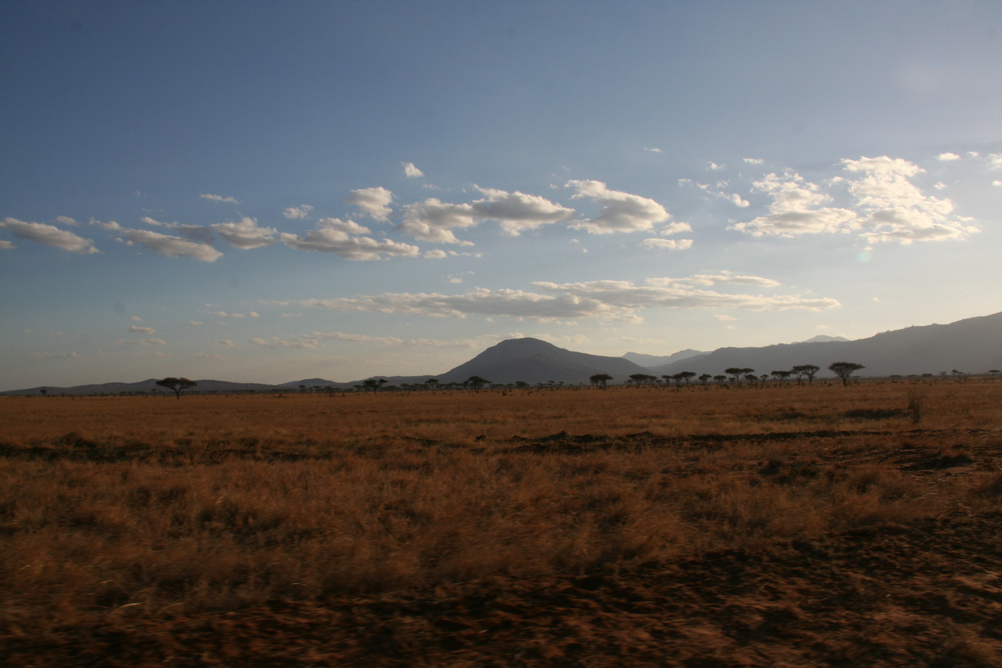 Africa l'immensità  di smpaint