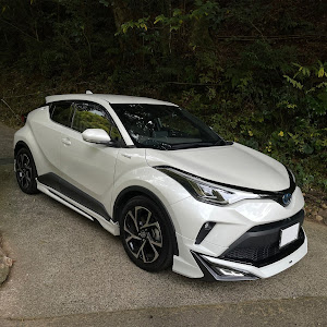 C-HR ZYX11