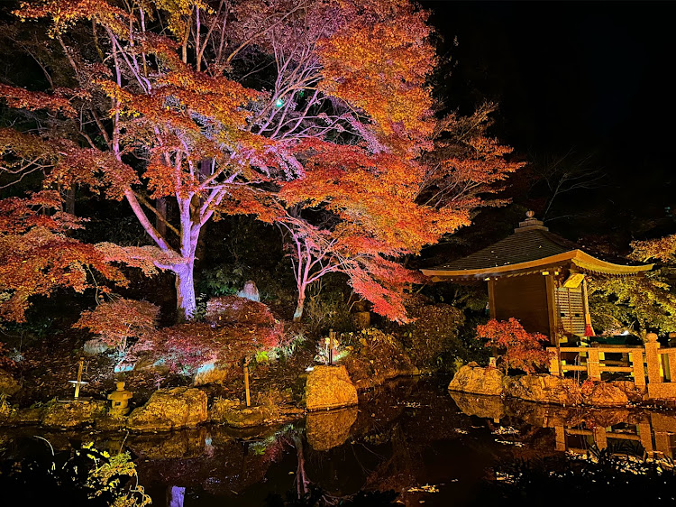 スイフトRSのスイフトRSのある生活・紅葉・法多山・ライトアップ・秋に関するカスタム事例の投稿画像7枚目