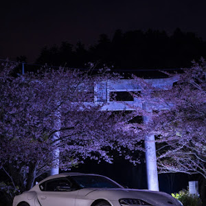 スープラ DB22