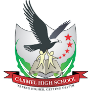 Carmel High School, Thane  Icon