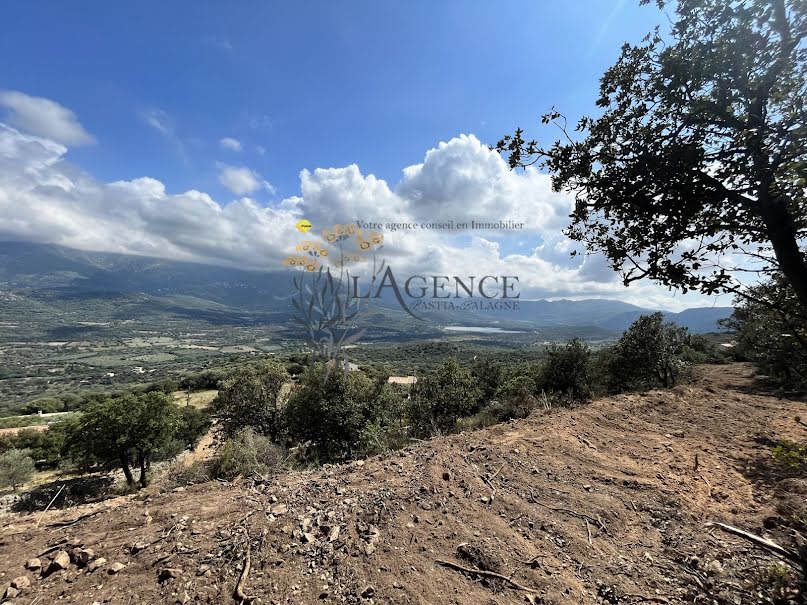 Vente terrain  12044 m² à Monticello (20220), 525 000 €