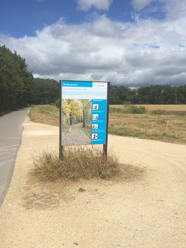 Niederholz Wegschild