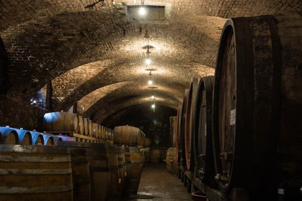 Il profumo della Cantina di MicheleFaggian