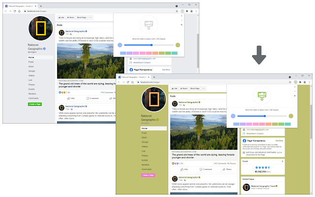 Color Changer for Facebook™ chrome extension