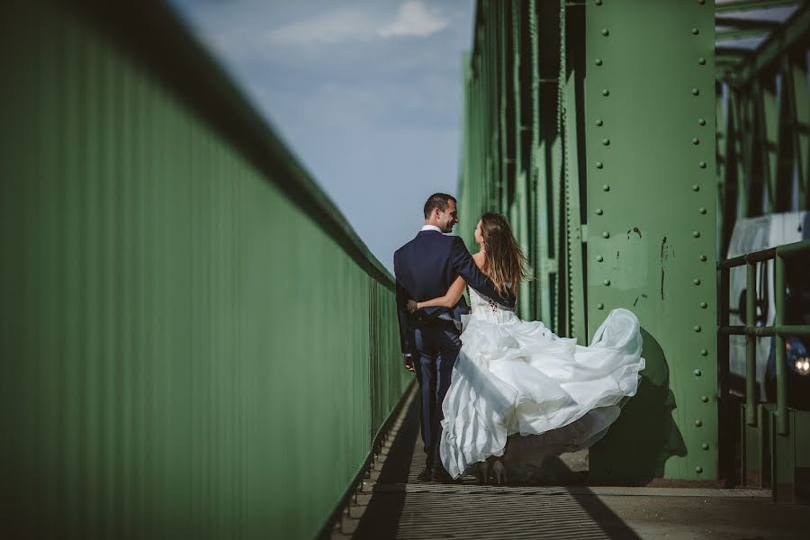 Fotógrafo de bodas Gergely Csigo (csiger). Foto del 28 de enero 2019