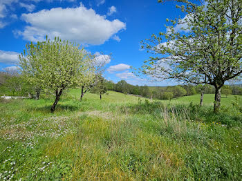 maison à Cubjac-Auvézère-Val d'Ans (24)