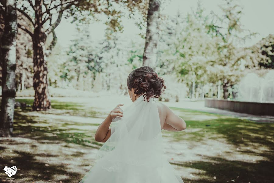 Fotografo di matrimoni Aleksey Alekseyyy (moldovanu). Foto del 7 dicembre 2015