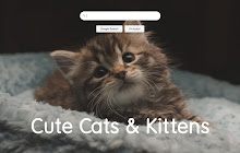 Cute Cats & Kittens HD New Tab small promo image