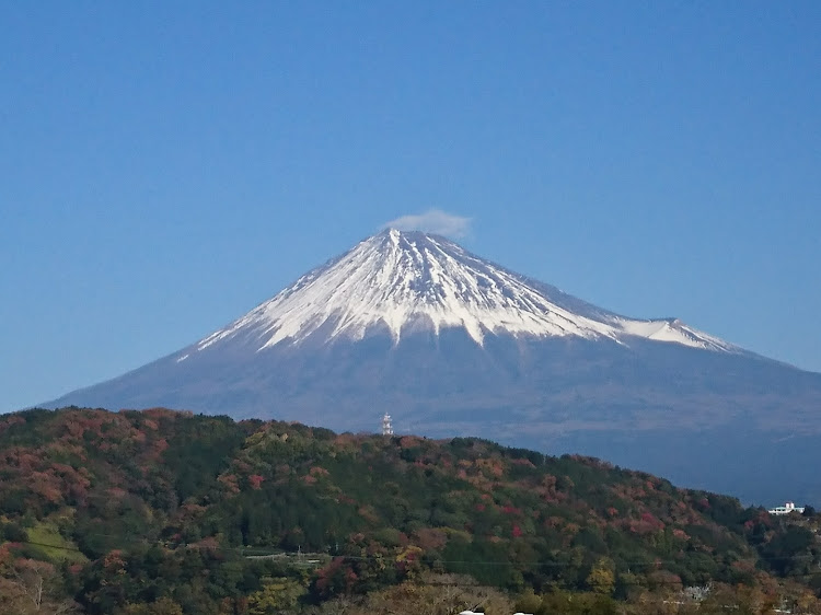 の投稿画像1枚目