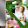 Wedding Frames Editor Download on Windows