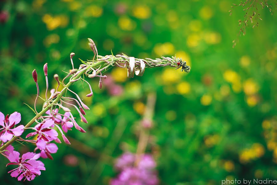 Photographer sa kasal Nadezhda Volkova (nadinevolkova). Larawan ni 12 Agosto 2015