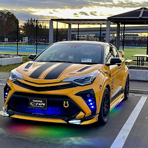 C-HR NGX10