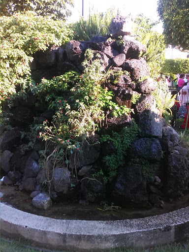 Fuente De Piedras