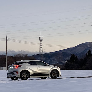 C-HR ZYX10