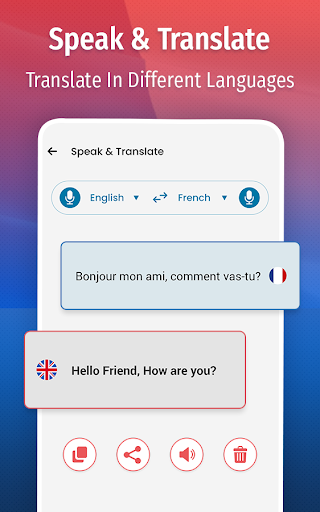 Screenshot French Chat Translator