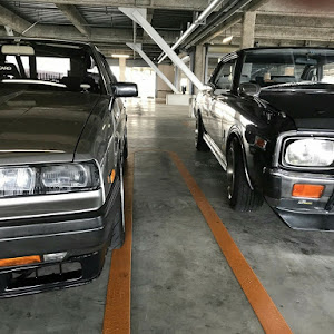 スカイライン