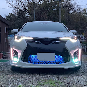 C-HR ZYX10