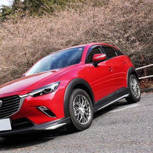 CX-3 DK5FW