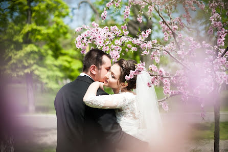 Fotografo di matrimoni Olga Klochanko (olgaklochanko). Foto del 12 novembre 2015