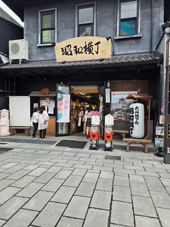 タイプⅠ　ビートルの空冷ビートル・タイプ1ビートル・ワーゲン・ドライブ・犬山市成田山に関するカスタム事例の投稿画像3枚目