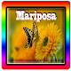 Download Nueva Mariposa Full HD For PC Windows and Mac 1.1