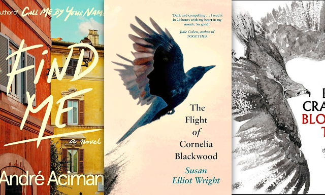 'Find Me', 'The Flight of Cornelia Blackwood', 'Blood Ties'.