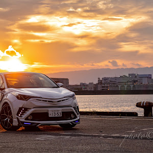 C-HR ZYX10