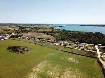 terrain à Aleria (2B)