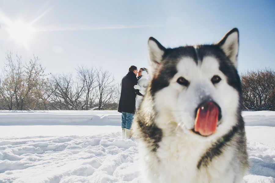 Hochzeitsfotograf Tolya Sarkan (sarkan). Foto vom 13. Februar 2019