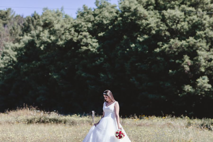 結婚式の写真家Paulo Pinheiro (fotoclik)。2019 2月28日の写真