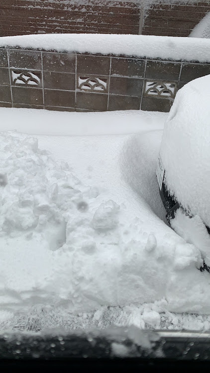 スカイラインクーペのステップワゴン・雪・スカイラインに関するカスタム事例の投稿画像2枚目