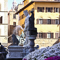 Firenze in fiore di 