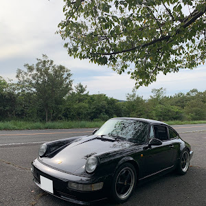 964 カレラ2