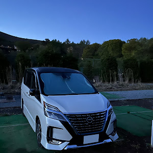 セレナ C25型