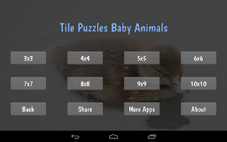 Tile Puzzles · Baby Animals