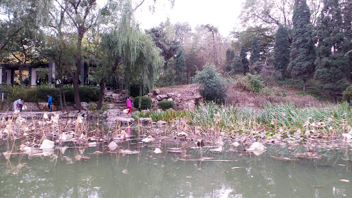 Bamboo Lake Beijing China 2015