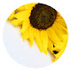 Sunflower New Tab Page HD Pop Plants Theme