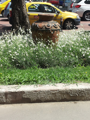 Ancient Pottery