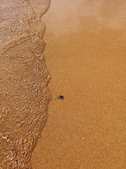 Cala Pregonda y visita al pueblo Binibeca Vell - Escapada corta a Menorca en tiempos de coronavirus. Septiembre 2020 (17)