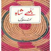 Bulleh Shah Kehnde Nain poetry  Icon