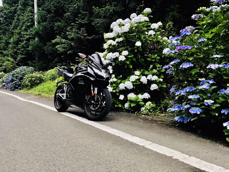 その他の峠・紫陽花・GSX-R600・sixxxer・鈴菌に関するカスタム事例の投稿画像9枚目