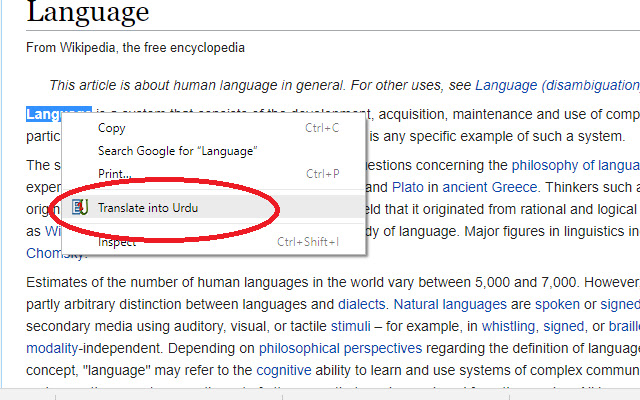 Translate into Urdu chrome extension